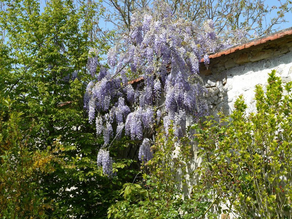 Gites De La Grande Ferme Avernes Room photo